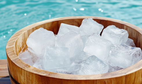 commercial ice machine filtration