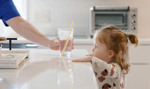 whole house water filter